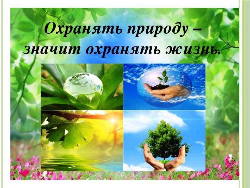 Человек и природа проект 7 класс