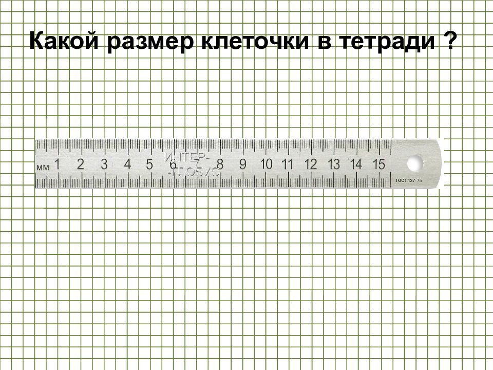 Клетка сантиметр. Размер тетрадной клетки в мм. Размер клетки в тетради. Размер клеточки в тетрадке. Размер клетки в тетради в клетку.