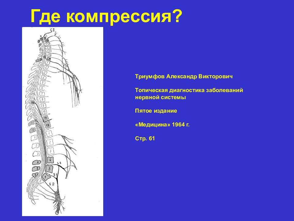 Презентация про позвоночник