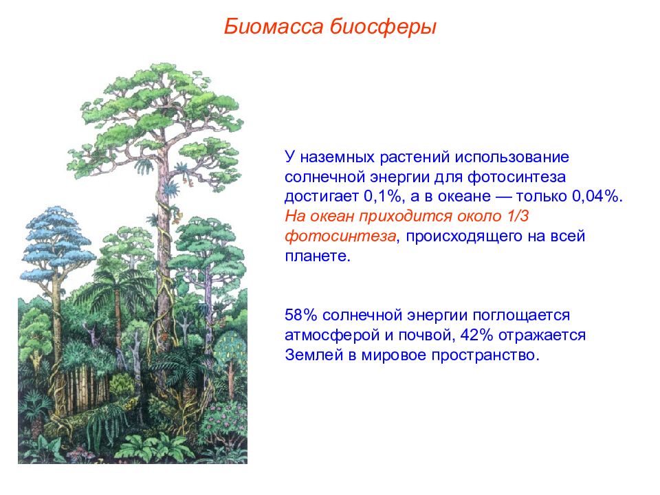 Биосфера и биомасса презентация