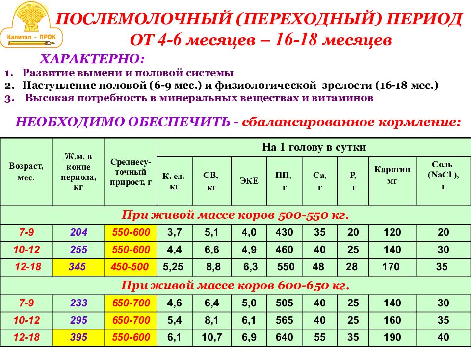 Выращивание молодняка крс презентация