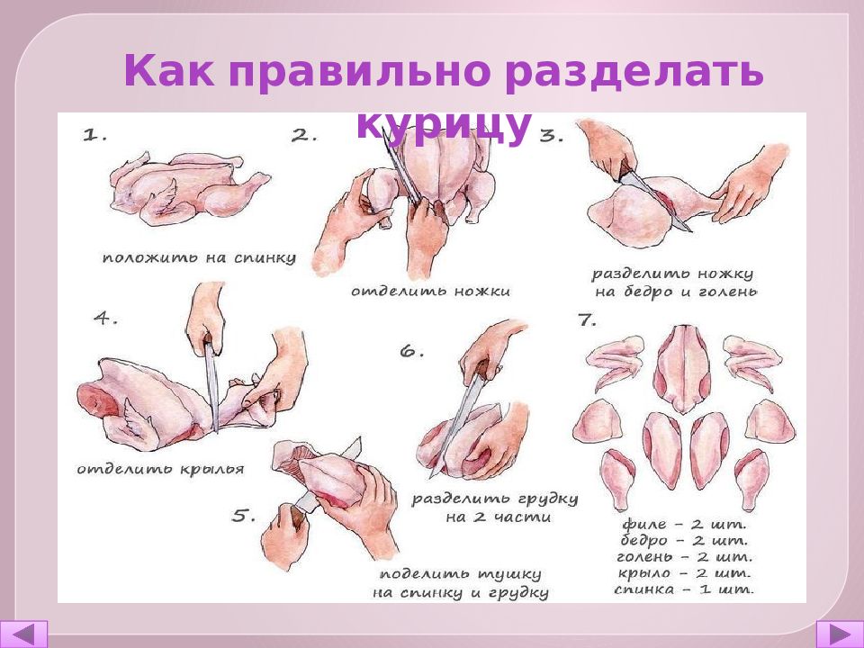 Презентация первичная обработка птицы