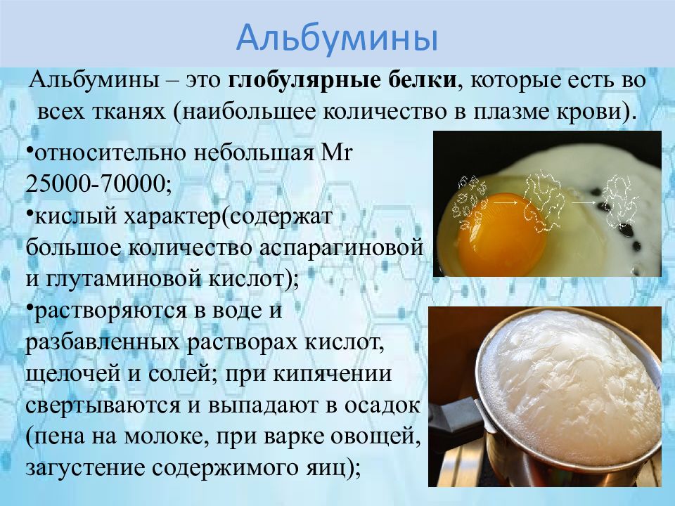 Белок альбумин. Белки альбумины. Альбумин яичный белок функция. Продукты с альбумином. Альбумин в продуктах питания.