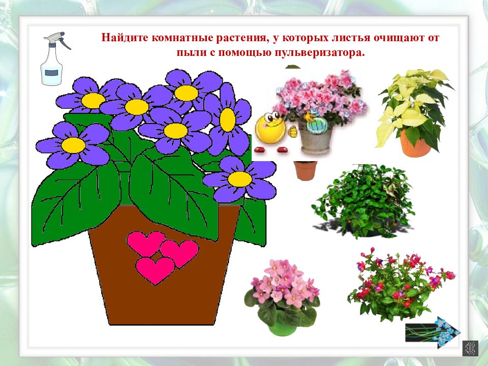 Конспекты уроков комнатными растениями. О комнатных цветах для дошкольников. Комнатные растения для детей. Комнатные цветы для дошкольников. Комнатные растения задания для детей.