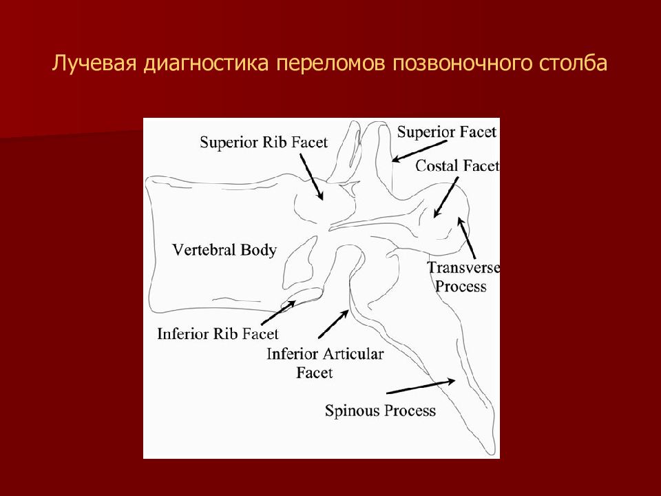 Лучевая диагностика нервной системы презентация