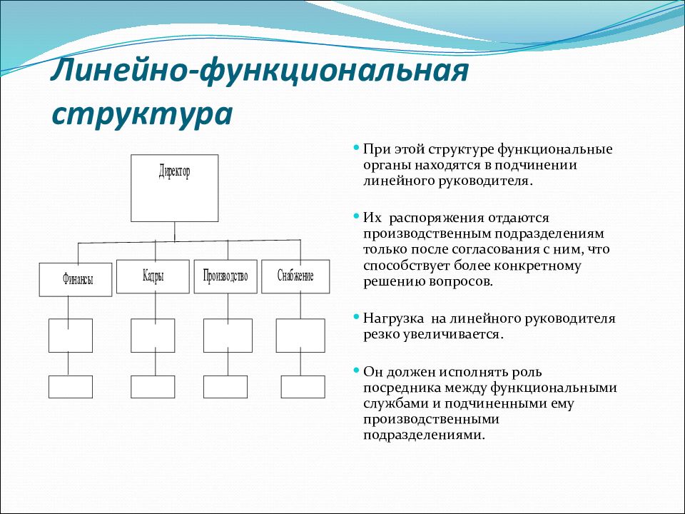 Линейно функциональная модель. Линейно-функциональная структура ДНС. Линейно-функциональная структура управления схема. Линейная функциональная структура. Линейно-функциональный Тип организации.