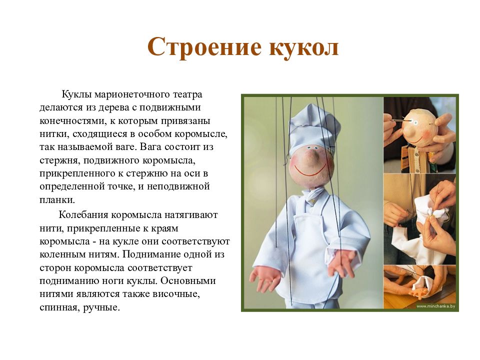 Строение куколки