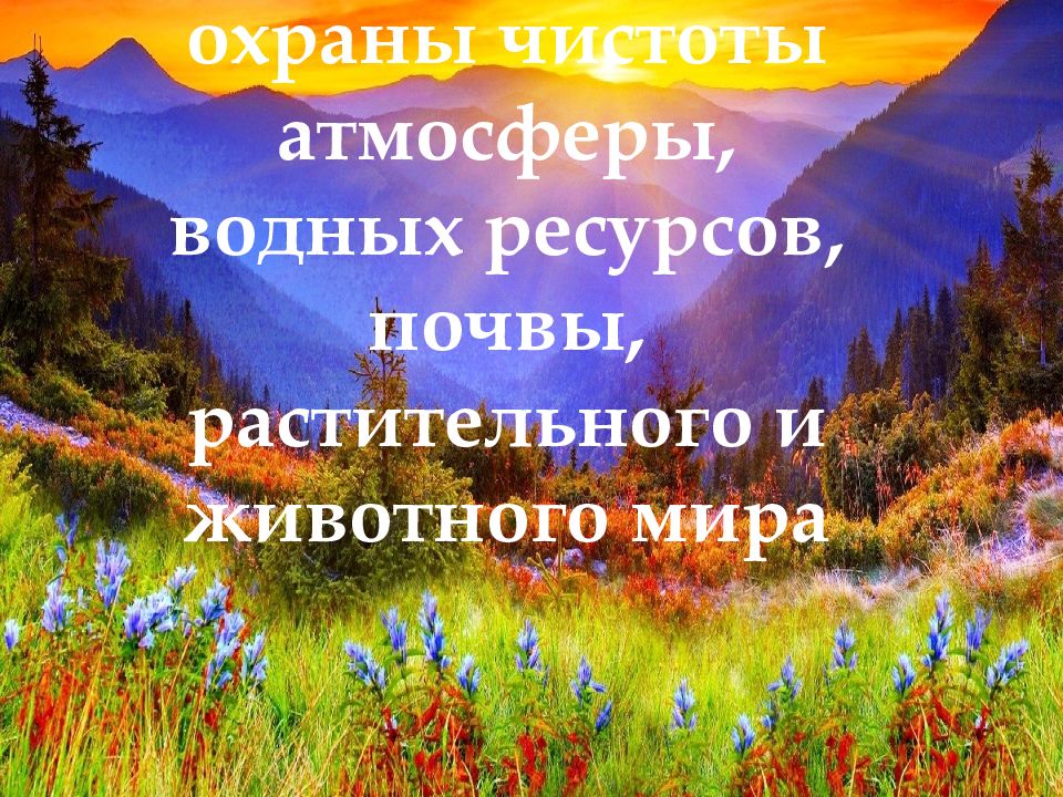 14. Охрана атмосферы, водных ресурсов, почв..