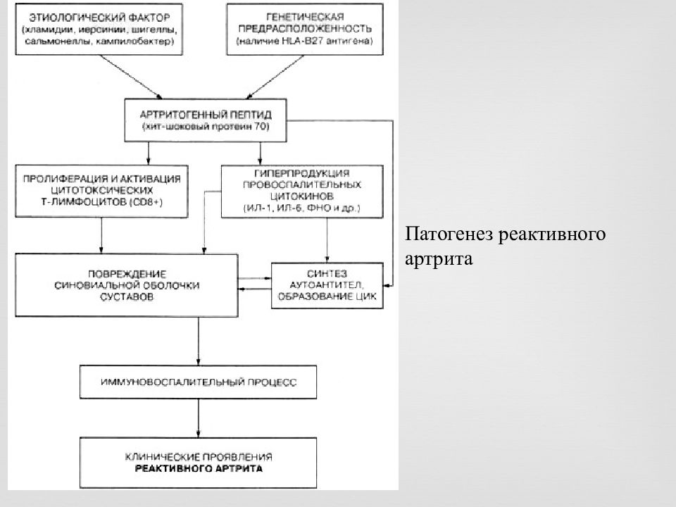 Реактивный артрит план обследования