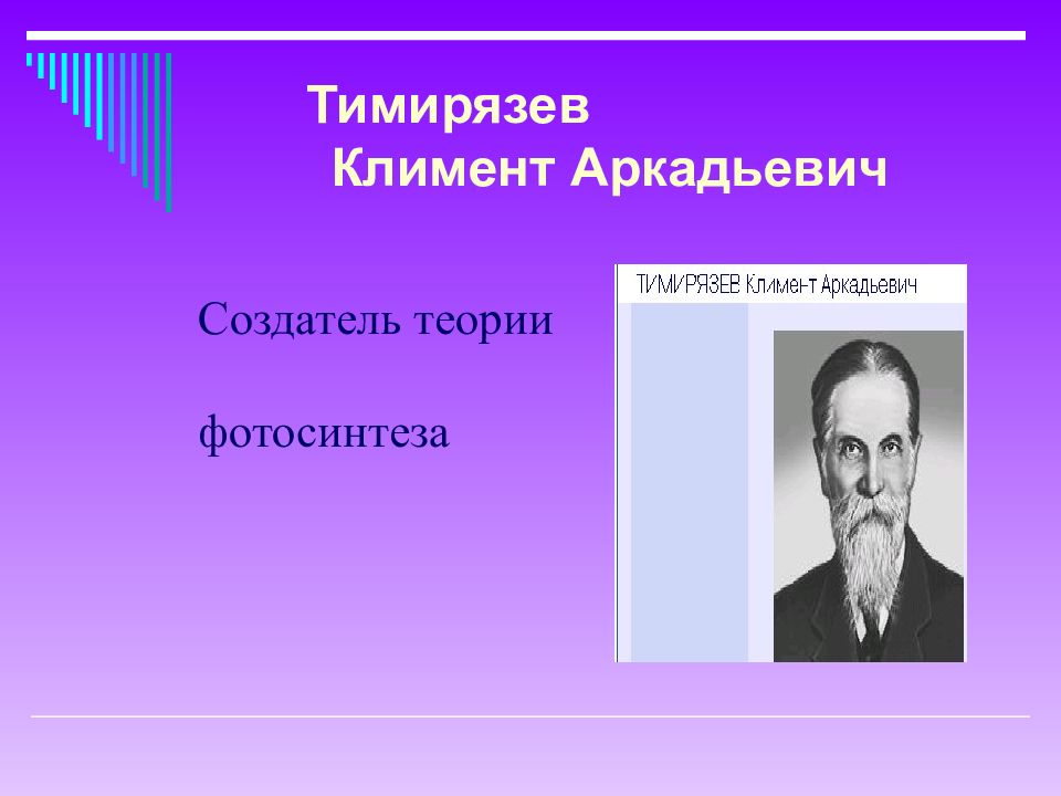 Создатель 6. Климент Аркадьевич Тимирязев фотосинтез. Климент Тимирязев наука. Тимирязев презентация. Тимирязев что открыл.