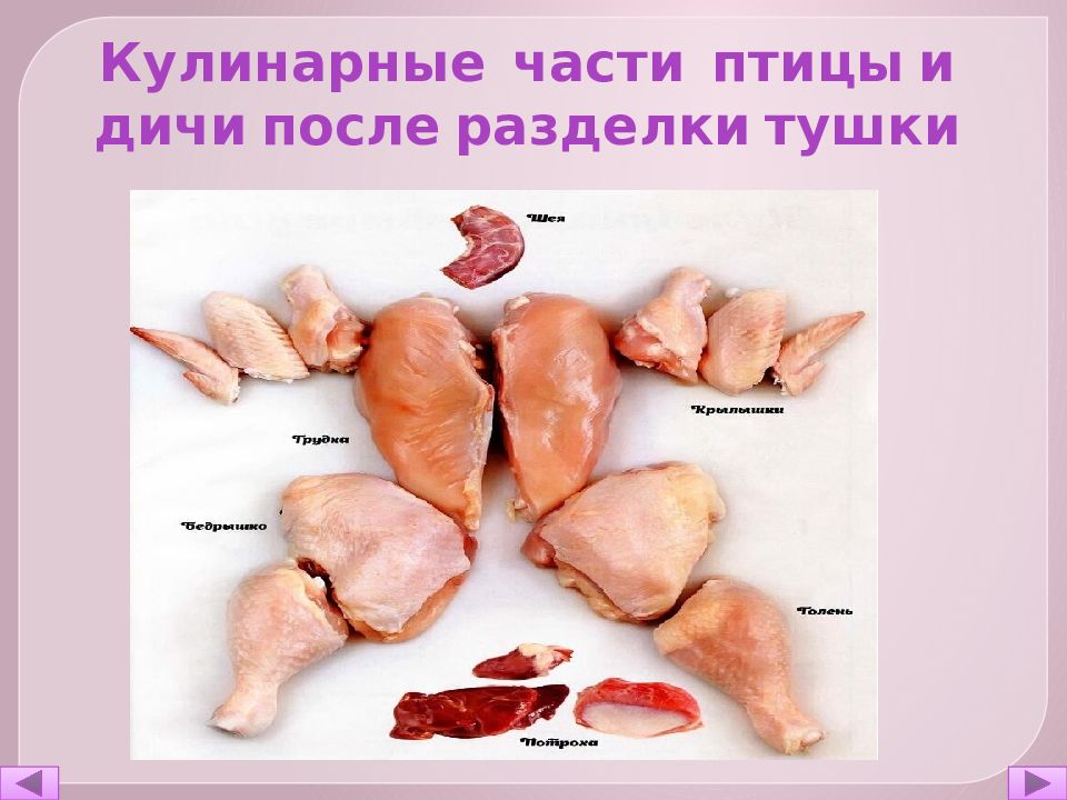 Части куры названия. Разделка сельскохозяйственной птицы. Курица, анатомические части. Строение курицы мясо.