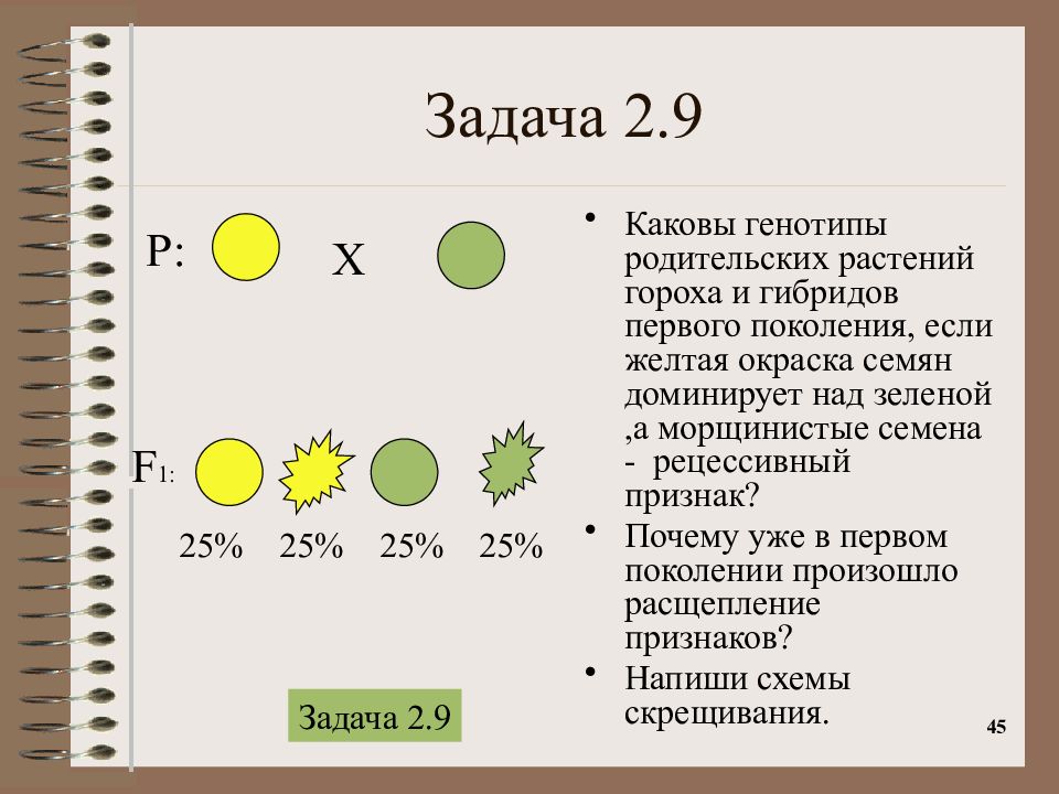 Используя данные схемы определите генотипы исходных растений если известно что в первом случае