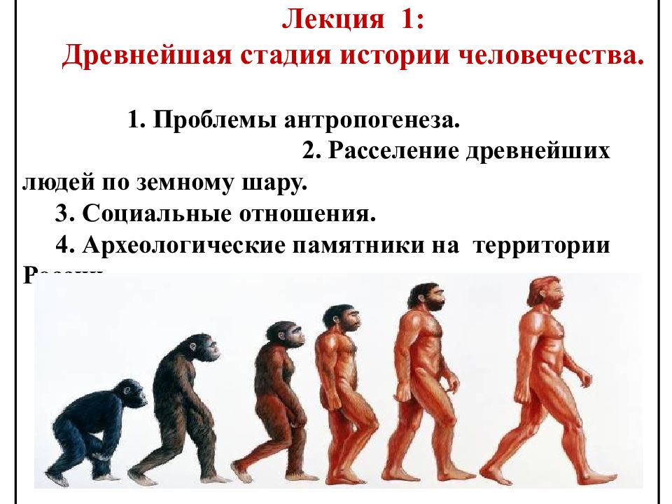 Лекция 1: Древнейшая стадия истории человечества. 1. Проблемы антропогенеза. 2