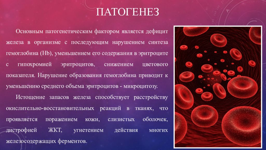 Низкий гемоглобин какой врач. Патогенез железодефицитной анемии. Анемия эритроциты. Эритроциты при железодефицитной анемии. Механизм развития жда.