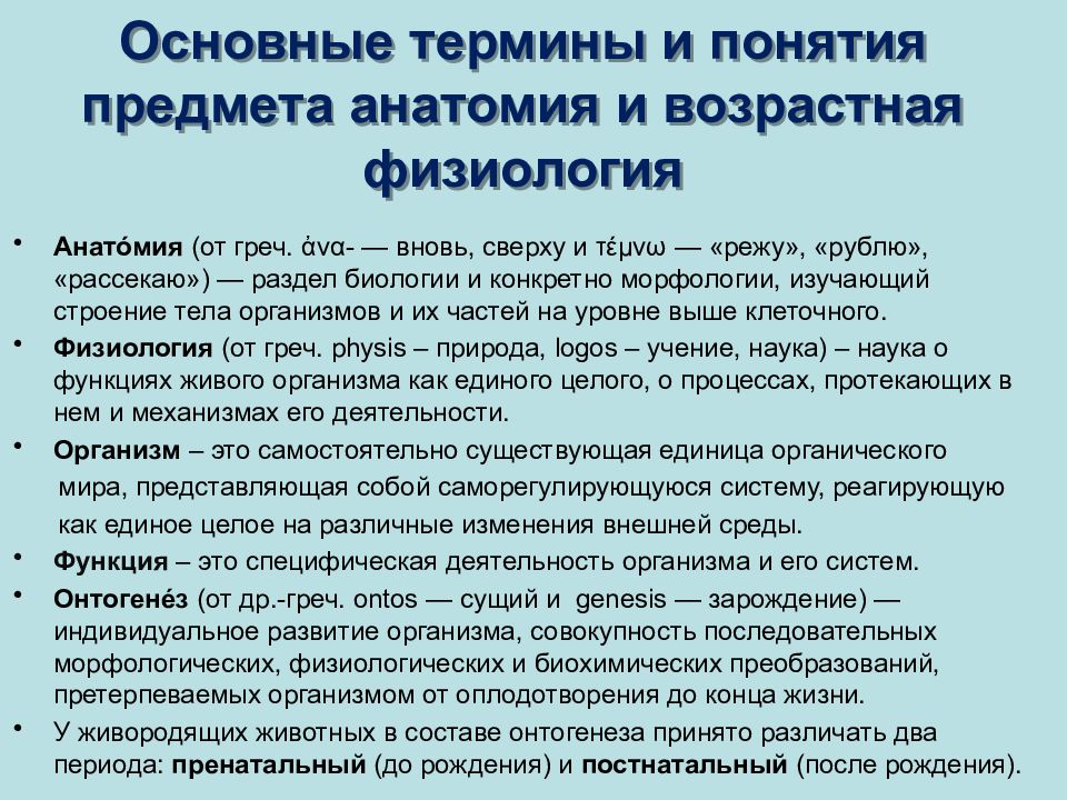 Презентация введение в анатомию и физиологию человека