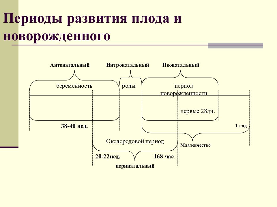 Антенатальный период перинатальный период. Перинатальный период схема. Антенатальный интранатальный и неонатальный периоды. Периоды развития плода и новорожденного. Периоды внутриутробного развития антенатальный.