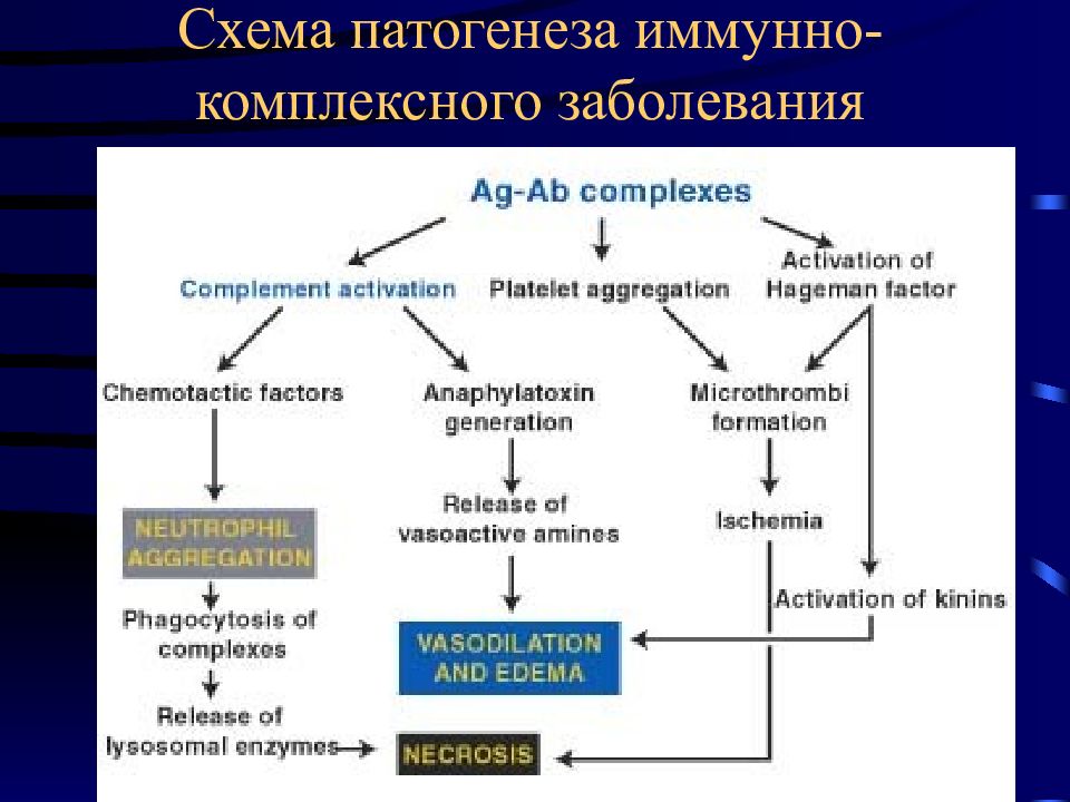 Ревматические болезни патанатомия презентация