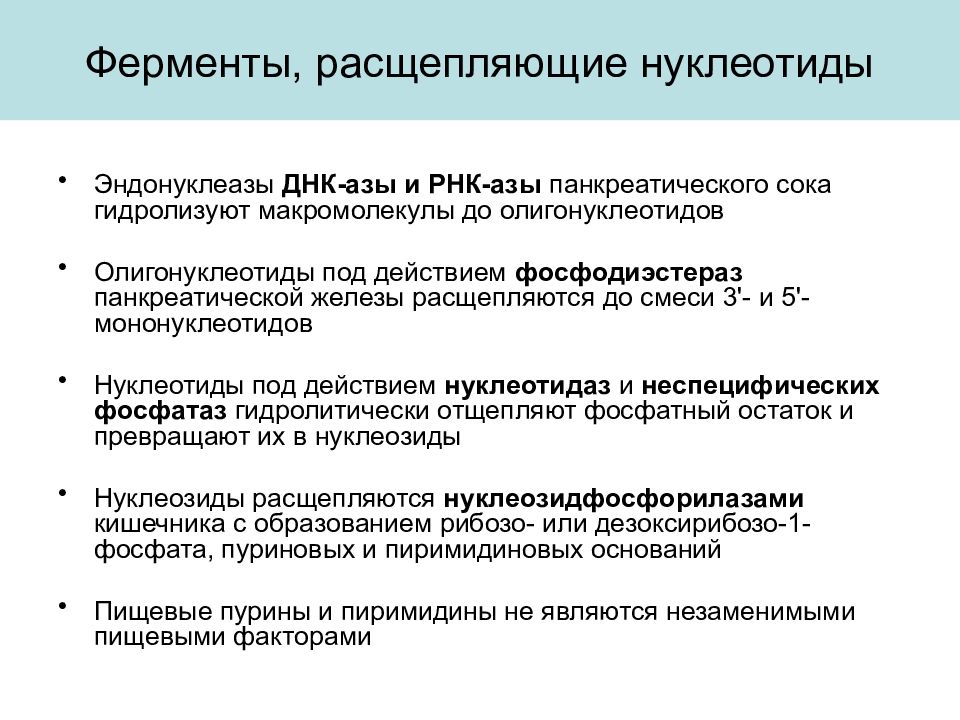 Ферменты участвующие в расщеплении. Ферменты расщепляющие ДНК. Расщепление ДНК ферментами. Нуклеотиды расщепляются ферментами:. ДНК ферменты, расщепляющие межнуклеотидные связи.