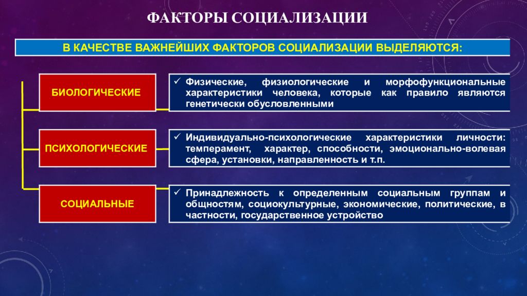 Взаимодействие характеризующееся достижением. Социальные процессы. Составляющие процесса социализации. Социальные характеристики. Процесс социализации в школе.