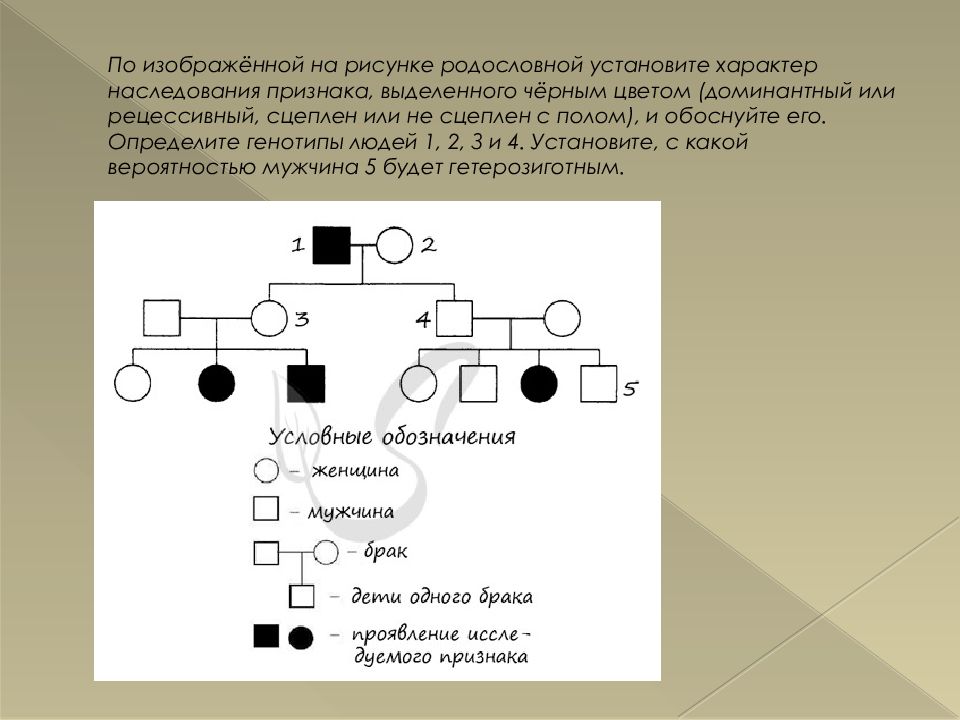 По изображенной на рисунке родословной определите. Определите Тип наследования признака по родословной. По изображенной на рисунке родословной установите характер. По изображенной по рисунку родословной. Доминантный признак в родословной.