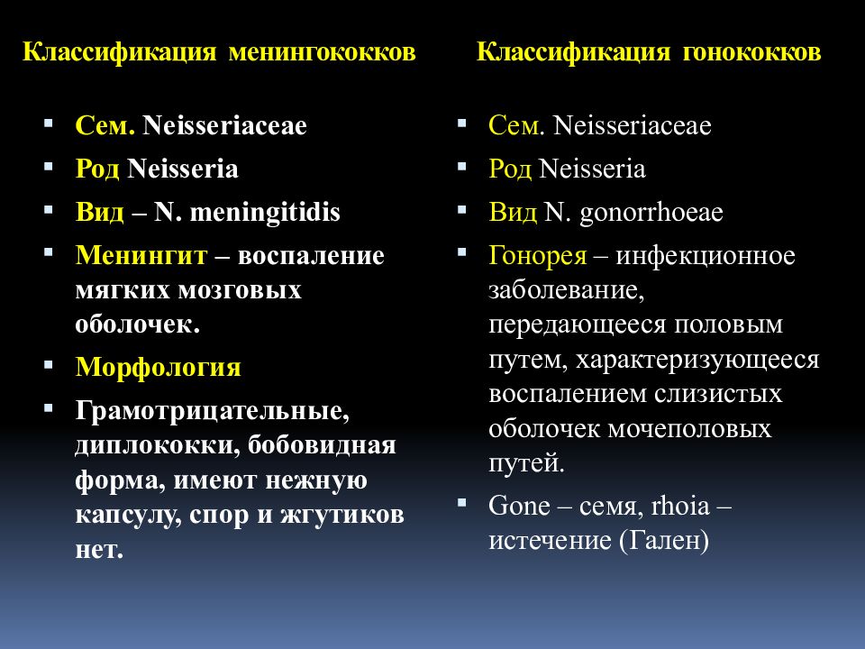 Менингококки микробиология. Менингококки микробиология таксономия. Neisseria gonorrhoeae классификация. Менингококки классификация. Гонококки классификация.