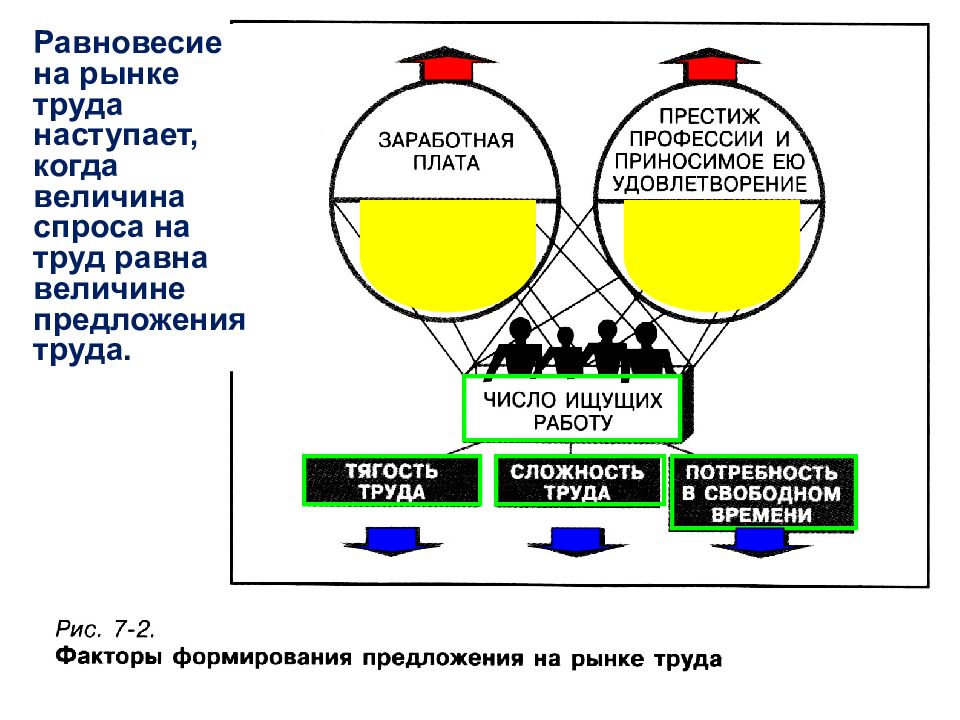 Экономическая природа рынка труда план