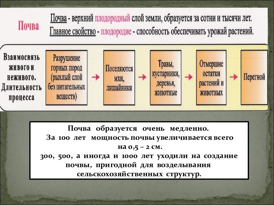 Презентация на тему почвы 6 класс география