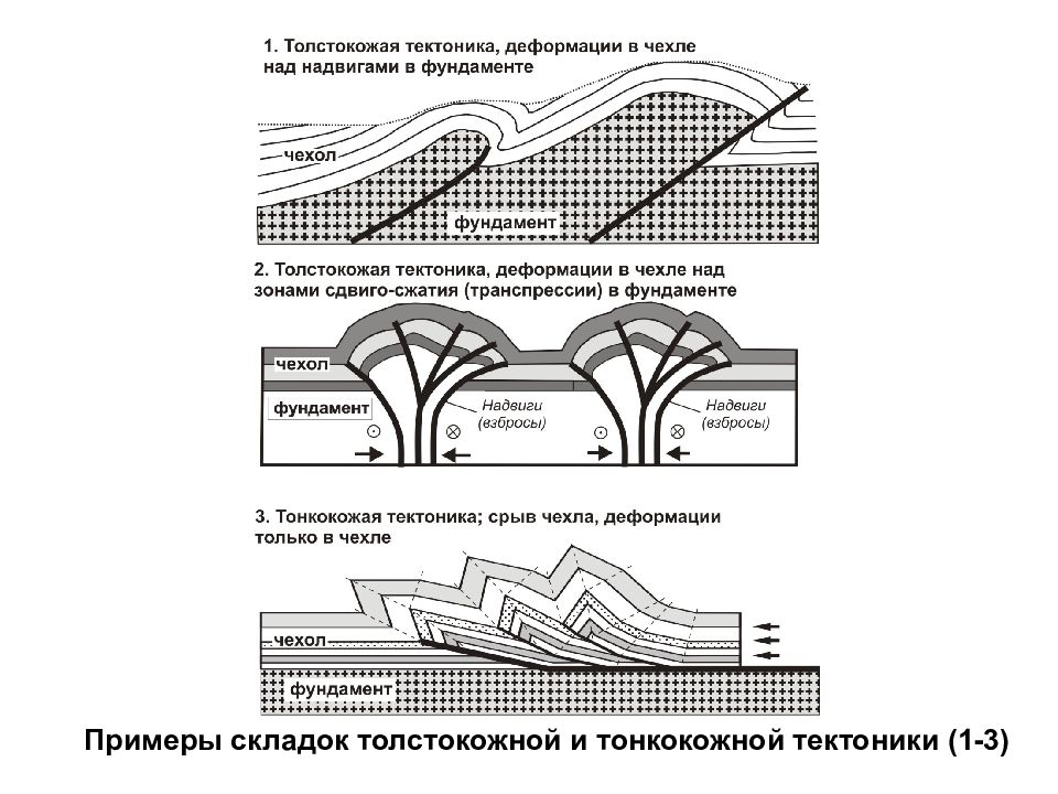 Структурные основы сокращения. Структурные формы Геология. Структурные элементы Геология. Основы структурной геологии. Тектоника примеры.