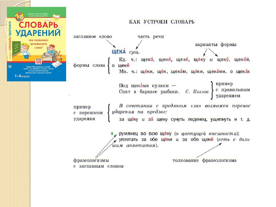 Варианты слов щекам. Как устроен словарь. Щека слово. Щеки и щека куда ставить ударение. Части слова- щёчки.