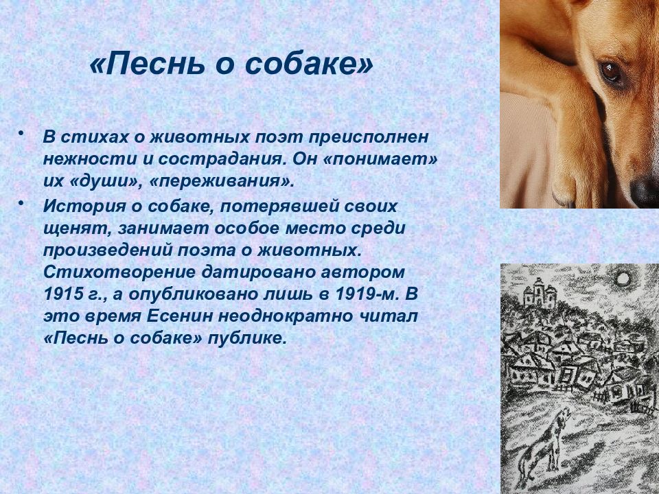 Есенин собака. Песнь о собаке. Стих в память о собаке. Стихи о собаке ушедшей. Стихи о потере собаки.