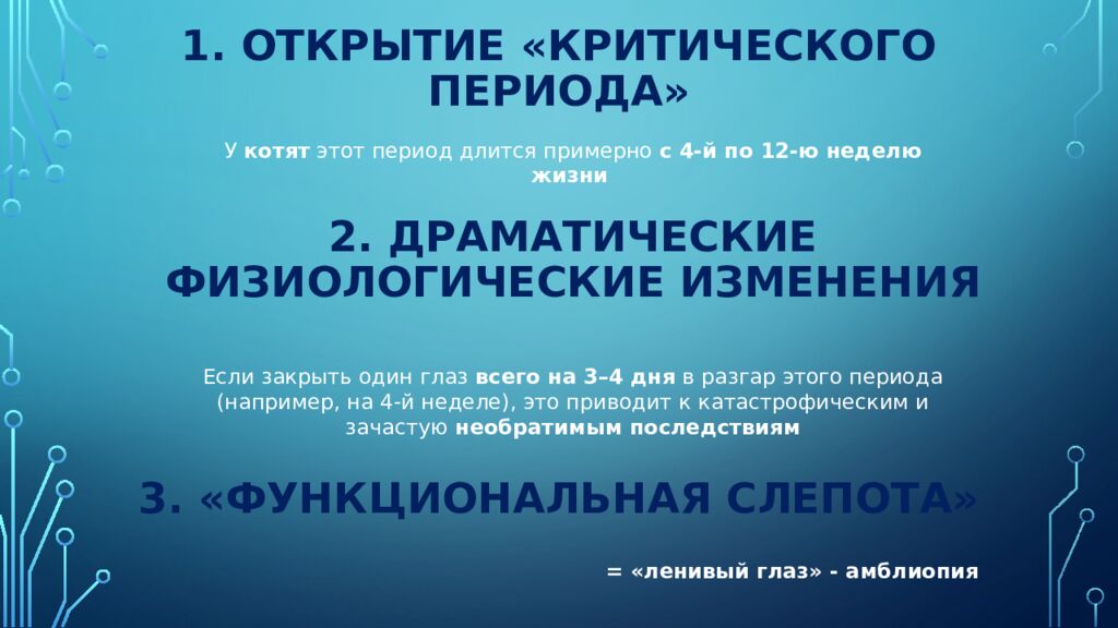 Нейроны зрительной коры: детекторы признаков и их иерархия