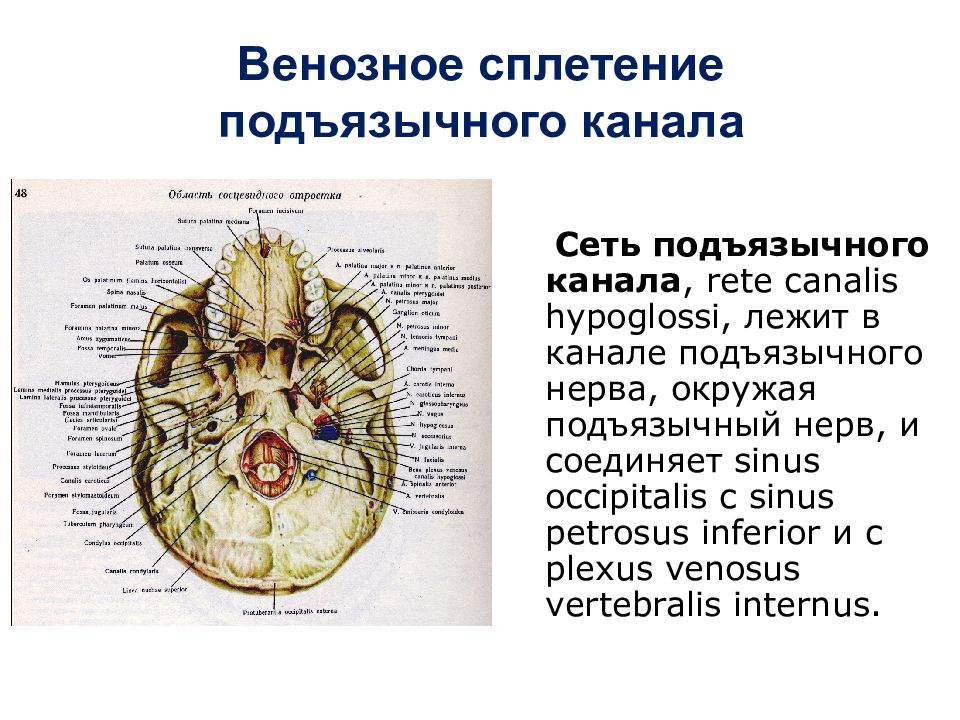 Канал латынь