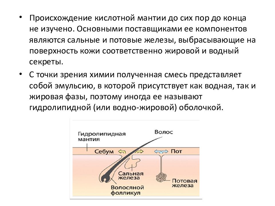 Гидролипидная мантия это. Водно-жировая мантия кожи. Строение кожи водно-липидная мантия. Воднго липидная манет ия кожи. Гидролипидная мантия кожи.