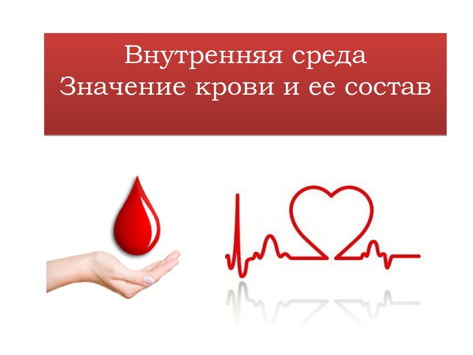 Внутренняя среда Значение крови и ее состав
