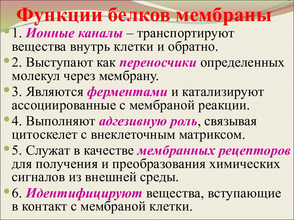 Белки мембраны функции. Функции белков в клеточной мембране. Функции белков в мембране клетки. Функции мембранных белков. Мембранные белки выполняют функции.