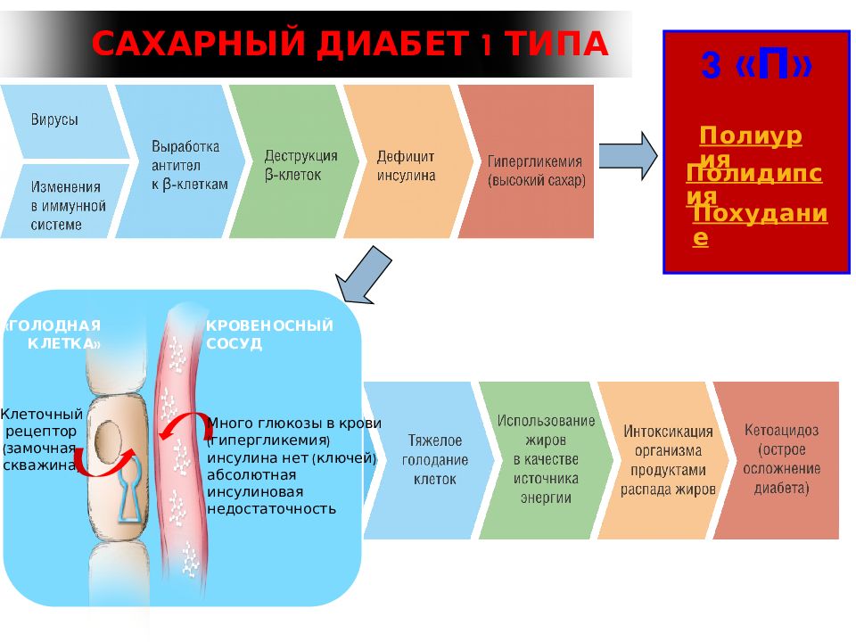 Диабет 2 типа что это такое. Сахарный диабет презентация. Презентации по сахарному диабету. Сахарный диабет слайд. Сахарный диабет ppt.