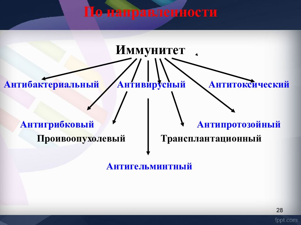 Иммунитет индивидуальный проект