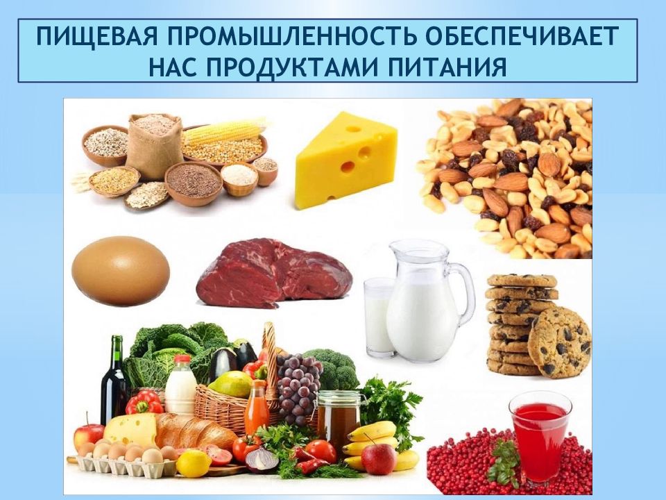 А также обеспечивающая продукцию. Микробиальное производство продуктов питания.