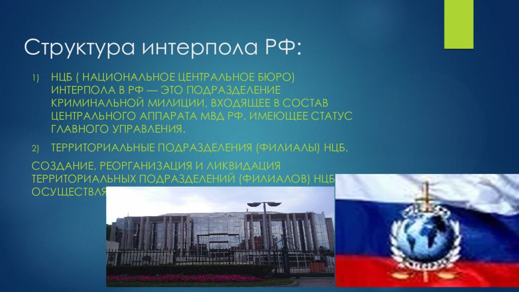 Национальное бюро интерпола мвд россии. Национальное центральное бюро Интерпола структура. Национальное центральное бюро (НЦБ) Интерпола СССР. Структура бюро Интерпола в России. Международная организация уголовной полиции (Интерпол).