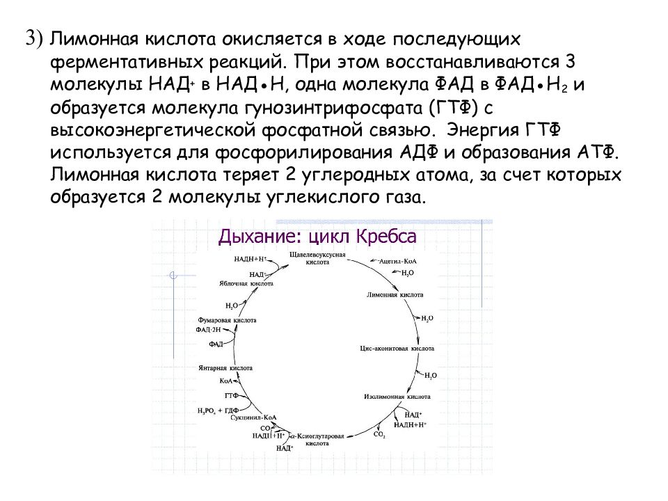 Презентация энергетический обмен в клетке 10 класс