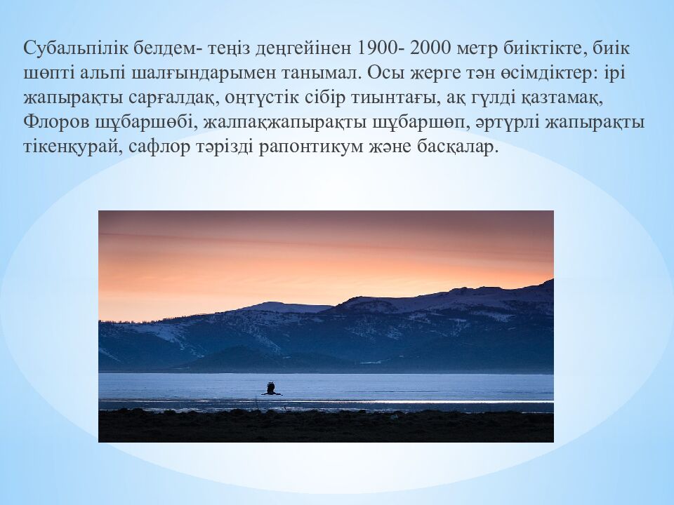 Марқакөл қорығы