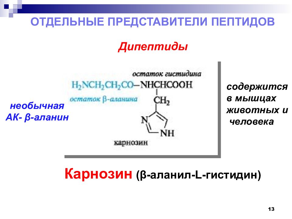 Пептидные белки. Отдельные представители пептидов. Пептиды представители. Классификация пептидов и белков. Пептиды и дипептиды.