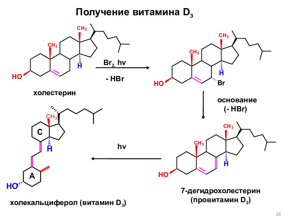 Холестерин 3. Синтез витамина d3 биохимия. Превращение эргостерина в эргокальциферол. Синтез витамина д3 из холестерола. Схема синтеза витамина д3.