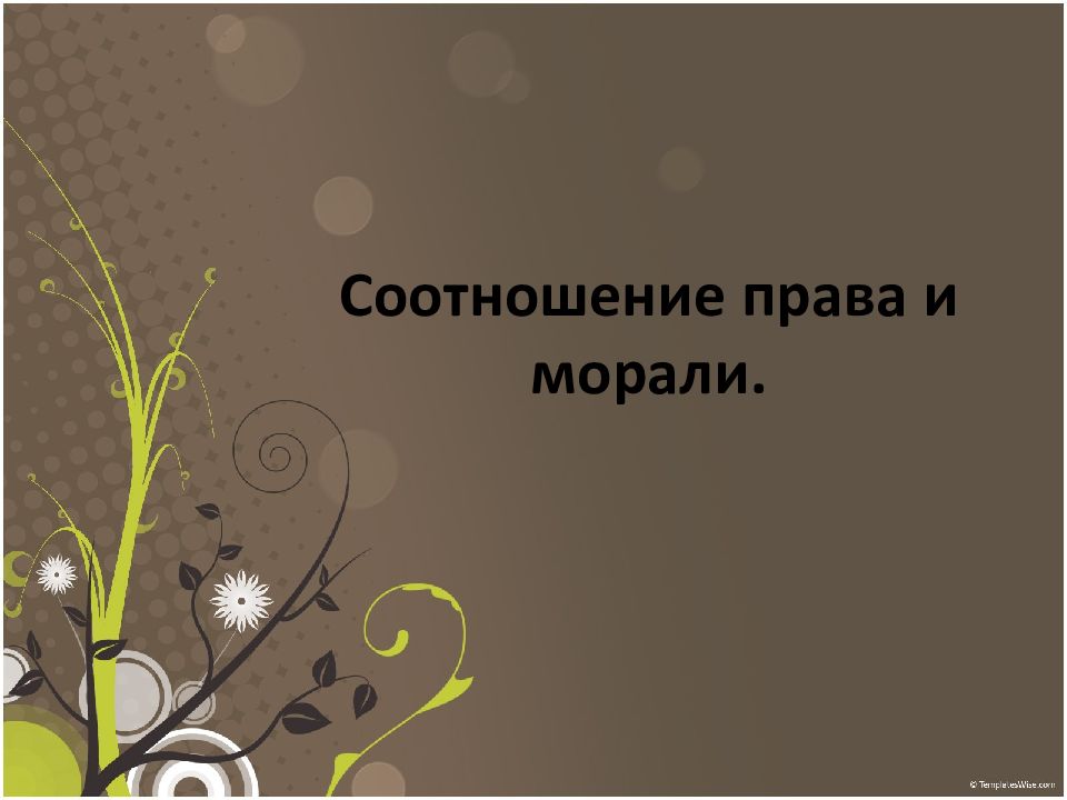 Соотношение права и морали.