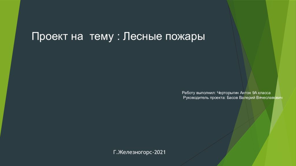 Проект на тему : Лесные пожары