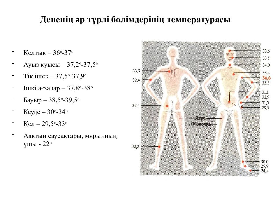 Почему разная температура под. Норма температур частей тела. Нормальная температура тела по частям тела. Карта температуры тела. Соответствие температуры кожи и тела.