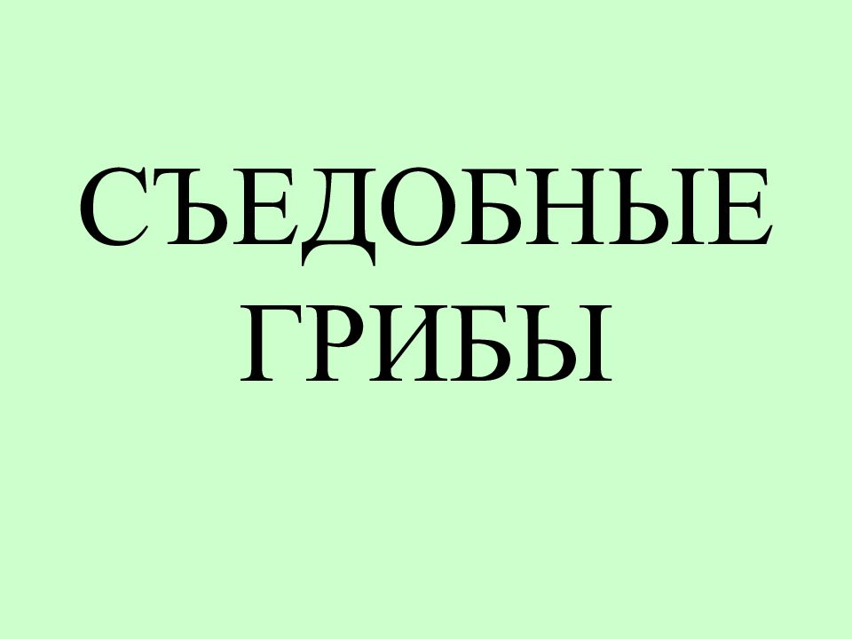СЪЕДОБНЫЕ ГРИБЫ