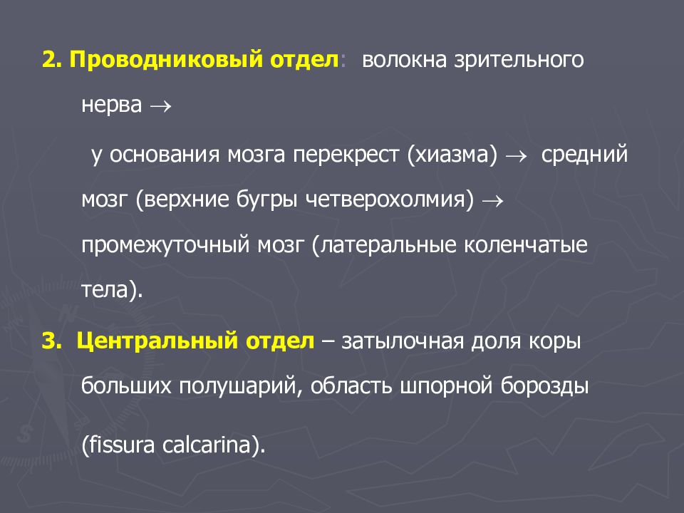 Хиазм это в литературе. Понятие об анализаторе презентация. Хиазм в рекламе. Терминализация хиазм это.