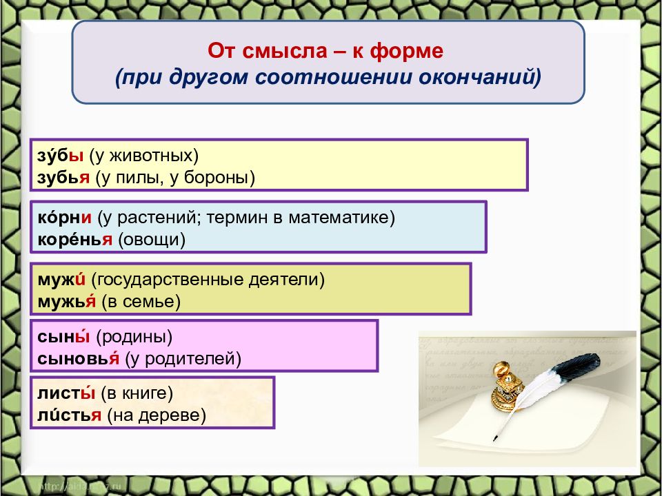 Подпись в форме именительного падежа множественного числа. Именительный падеж множественного числа существительных. От смысла к форме от формы к смыслу. Зуб пилы во множественном числе. Корень в мн ч растения.