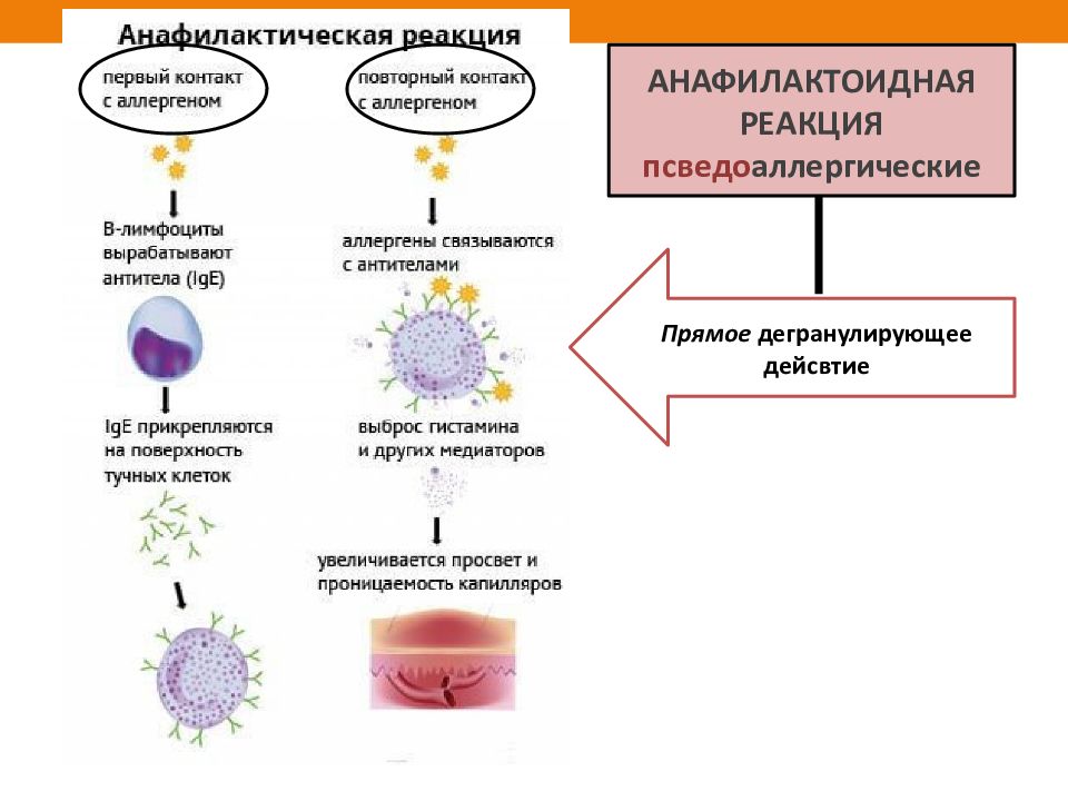 Анафилаксия аллергология презентация